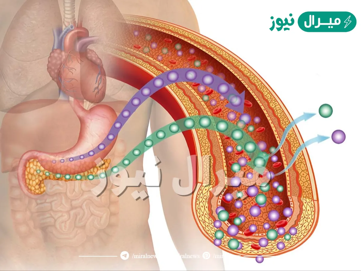 عندما يعجز البنكرياس عن إنتاج الأنسولين بكمية كافية فإن ذلك يؤدي إلى
