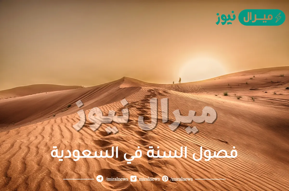 فصول السنة في السعودية .. كم عدد فصول السنة في السعودية؟