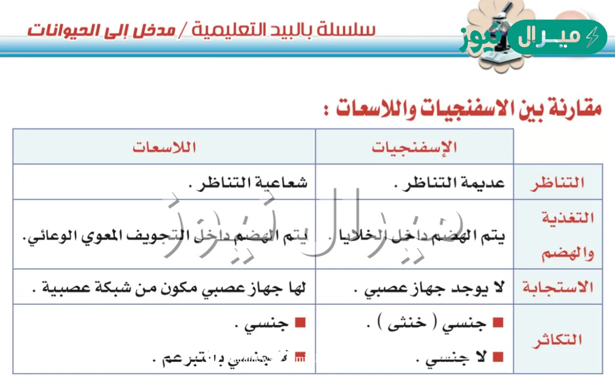 قارن بين الاسفنجيات واللاسعات