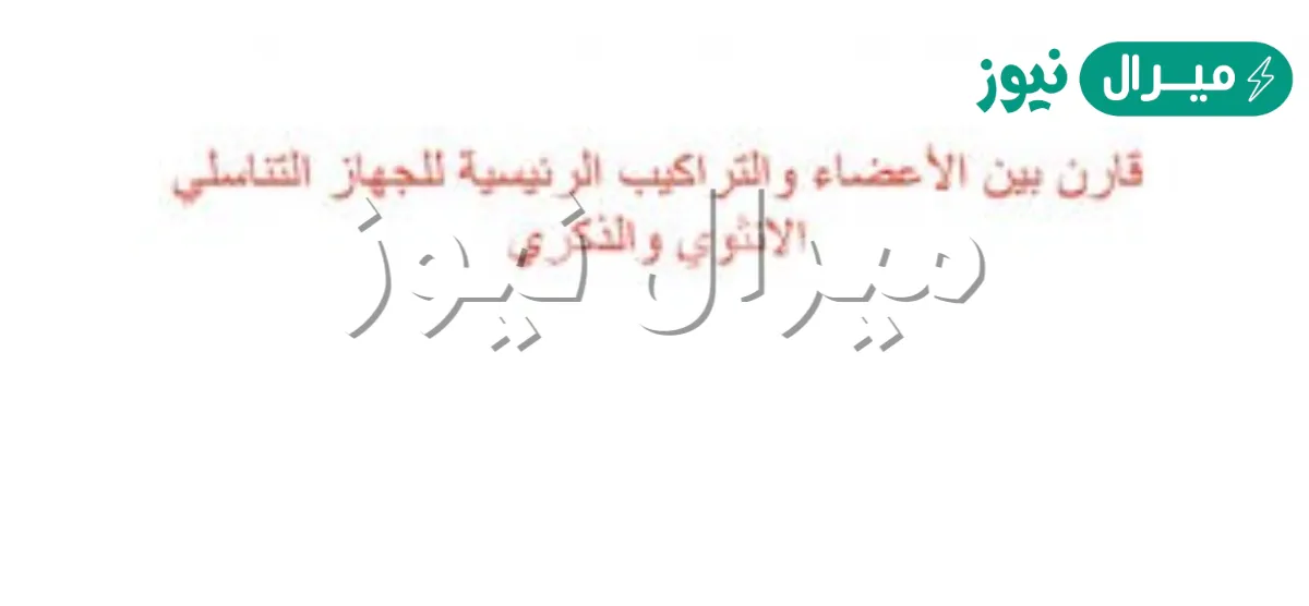 قارن بين الاعضاء والتراكيب الرئيسية