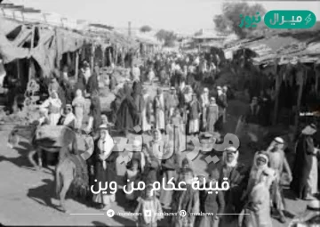 قبيلة عكام من وين