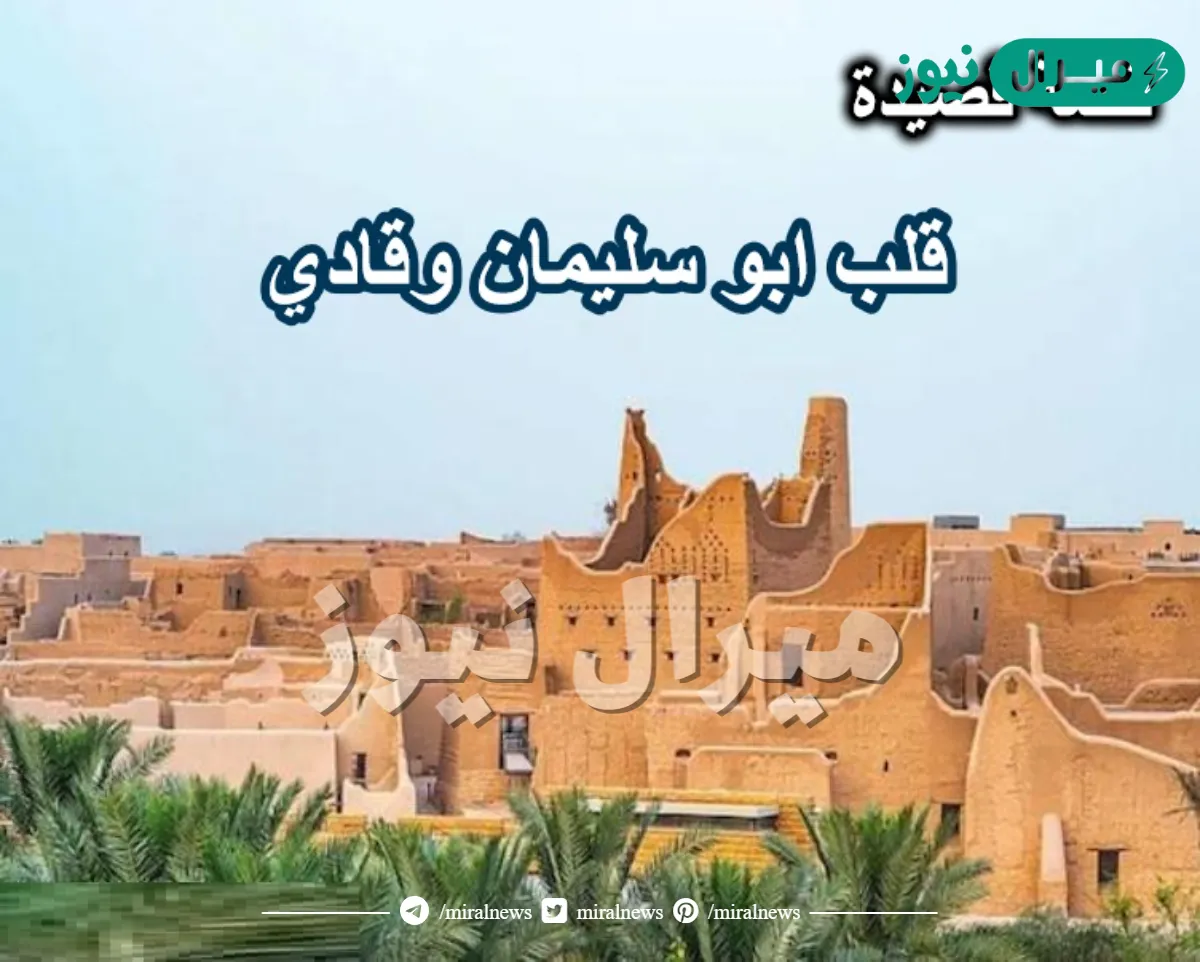 قلب ابو سليمان وقادي كلمات