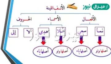 كتبت الألف اللينة في كلمة قضى على صورة الياء لأنّها فعل ثلاثي وتقلب ياء في المضارع