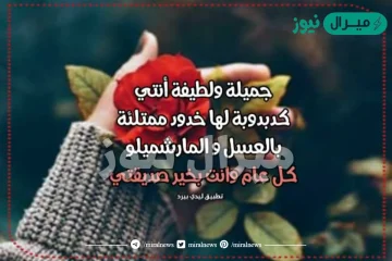 كلام عيد الحب لصديقتي