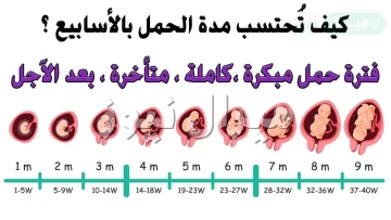 كم عدد اسابيع الحمل ؟