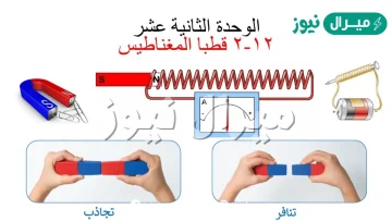 كم قطبا يكون للمغناطيس الواحد