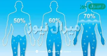 كم نسبة الماء في جسم الانسان