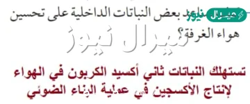 كيف تساعد بعض النباتات الداخلية على تحسين هواء الغرفة ؟