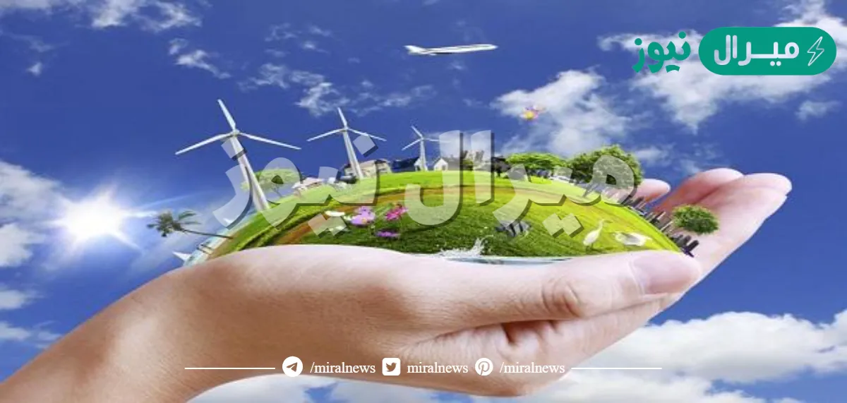 كيفية المحافظة على البيئة