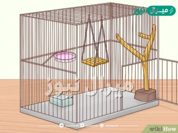 لاتوجد حواجز قبل اقفاص الطيور والسبب انها طيور