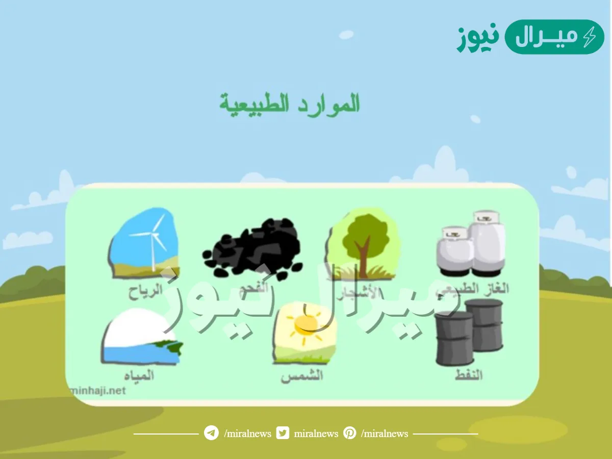 لخص ما الموارد الطبيعية