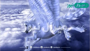 لماذا ذبح سيدنا سليمان الاحصنة المجنحة