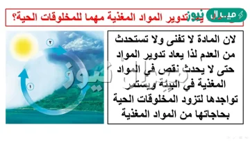 لماذا يعد اعادة تدوير المواد المغذية مهما للمخلوقات الحية