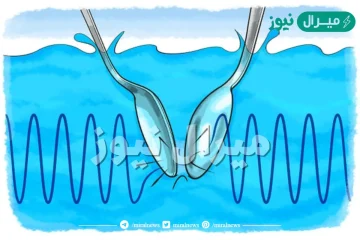 لماذا ينتقل الصوت في الماء اسرع من الهواء