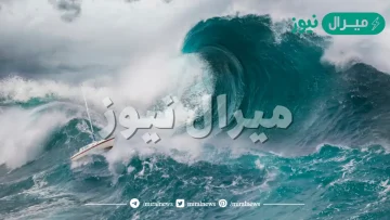 ما الذي يسبب حدوث التسونامي في المحيطات