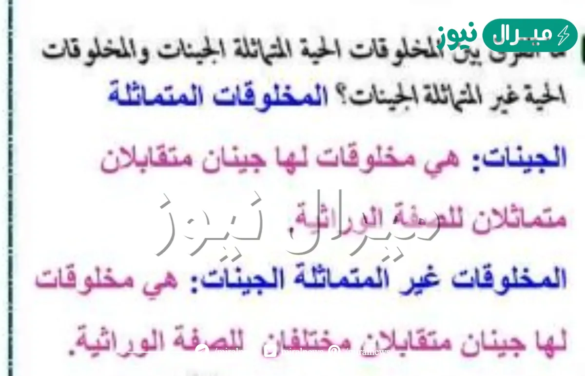 ما الفرق بين المخلوقات الحية المتماثلة الجينات والمخلوقات الحية غير المتماثلة الجينات