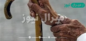 ما المقصود بالمسن