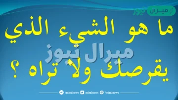 ما هو الشيء الذي يقرصك ولا تراه