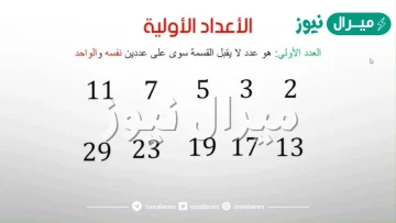 ما هو العدد الاولي ؟