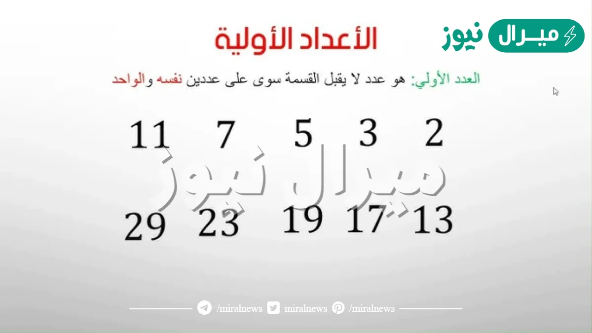 ما هو العدد الاولي ؟