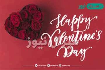 ما هو الفلانتين