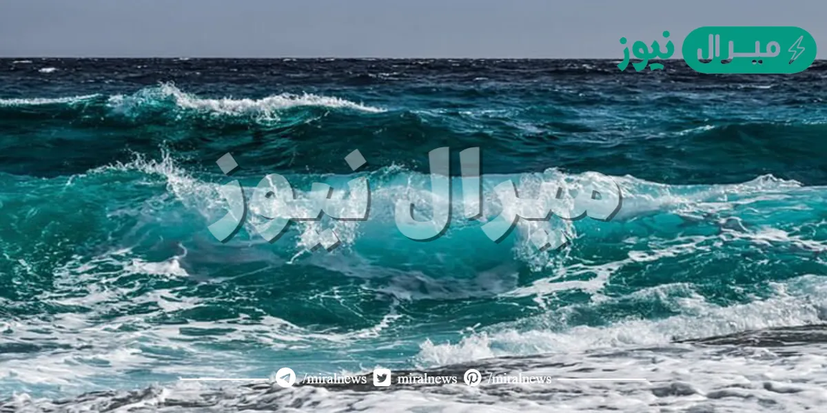 ما هي أشكال المياه على سطح الارض