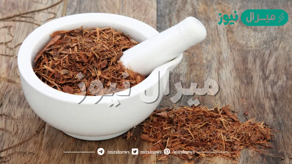 ما هي عشبة كاتوابا