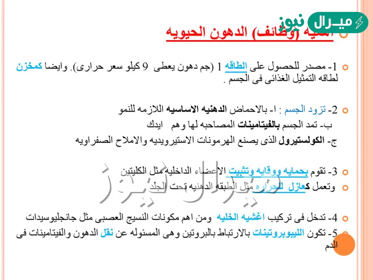 ما هي وظائف الدهون