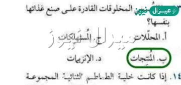 ماذا تسمى المخلوقات غير القادرة على صنع غذائها بنفسها