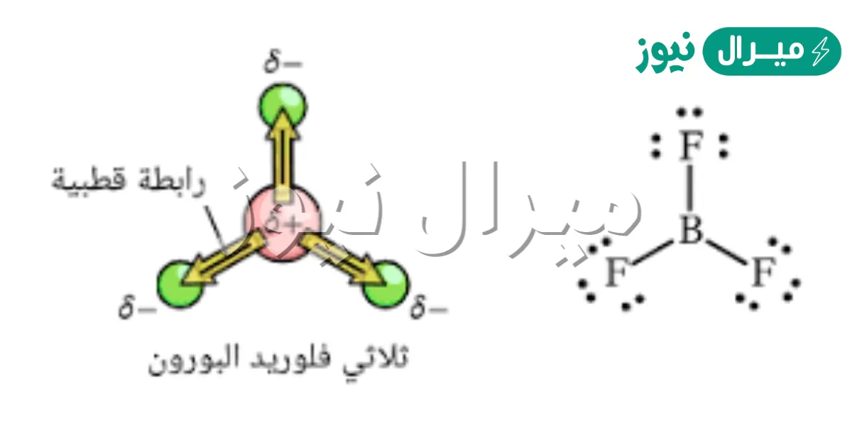 ماذا يحدث للالكترونات عند تكوين الرابطة التساهمية القطبية ؟