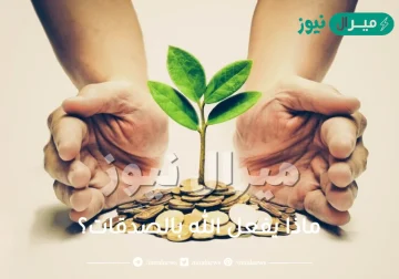 ماذا يفعل الله بالصدقات؟