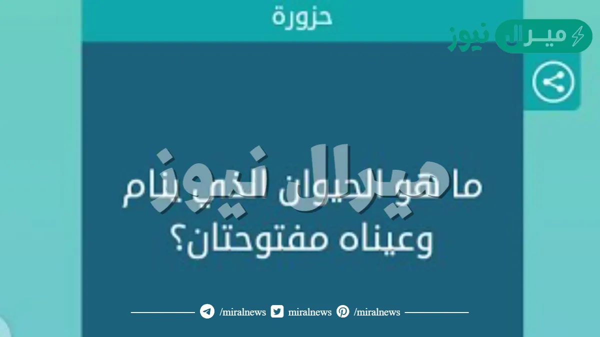 ماهو الحيوان الذي ينام وعيناه مفتوحتان ؟
