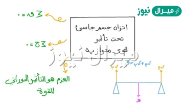 متى يكون الجسم في حالة اتزان