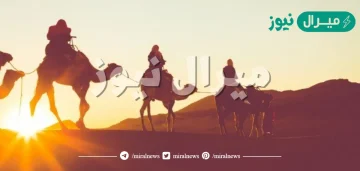 مرادف كلمة حمر النعم