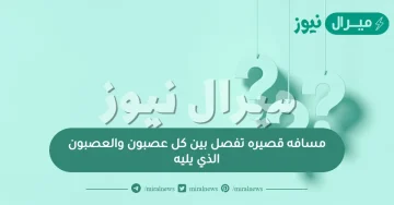 مسافه قصيره تفصل بين كل عصبون والعصبون الذي يليه