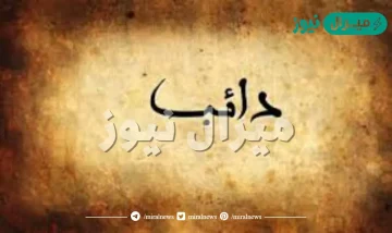 معنى كلمة دائب