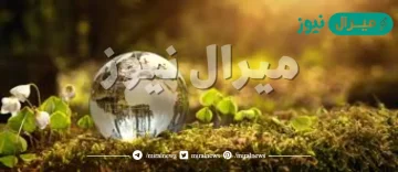 من أمثلة الموارد الطبيعية المتجددة