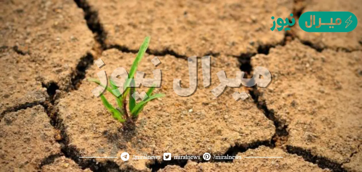 من اسباب التصحر وتدهور الاراضي الزراعية في دول مجلس التعاون