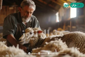 من اسباب تراجع حرفة الرعي