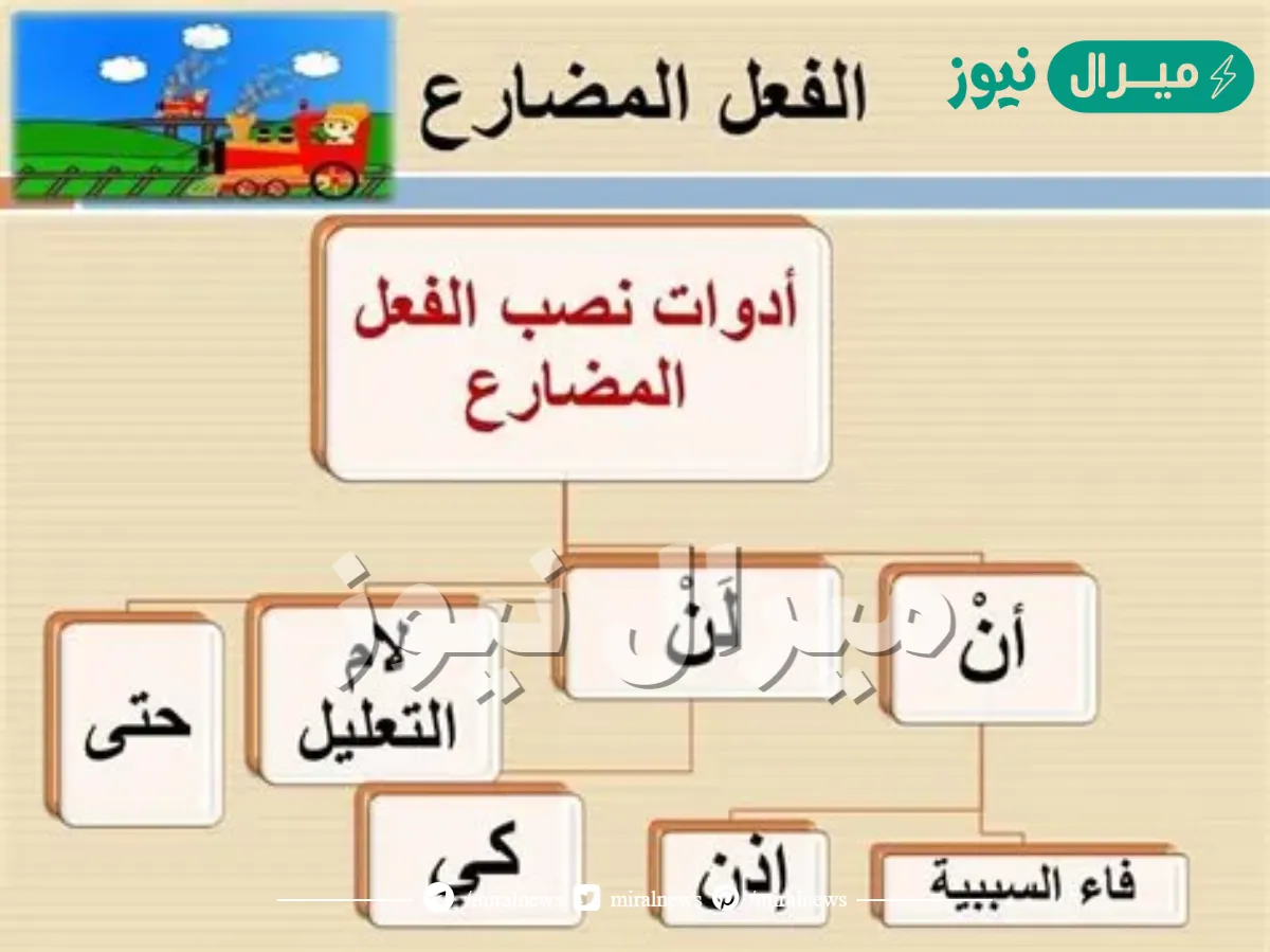 من الادوات التي تنصب الفعل المضارع
