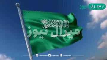 من الجهة التي تصدر النظام في المملكة العربية السعودية