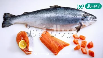 من العوامل اللاحيوية في موطن السلمون