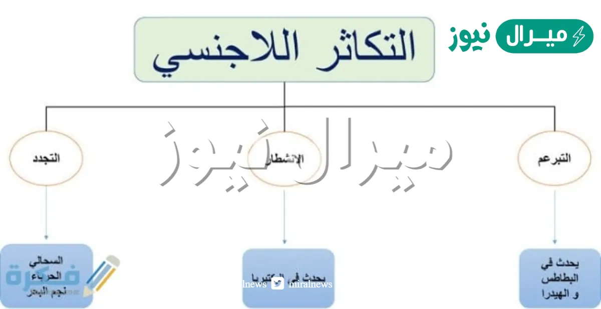 من طرق التكاثر اللاجنسي