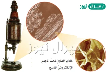 من هو مكتشف الخلايا هو العالم