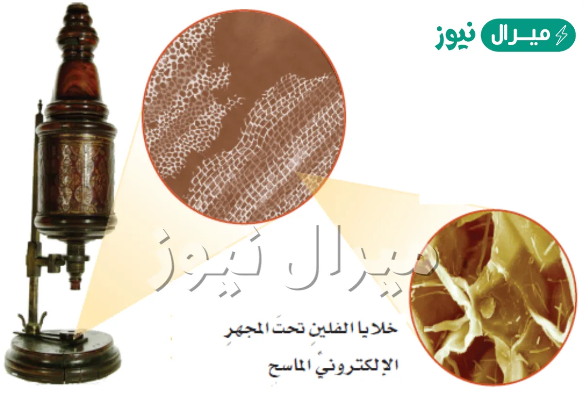 من هو مكتشف الخلايا هو العالم