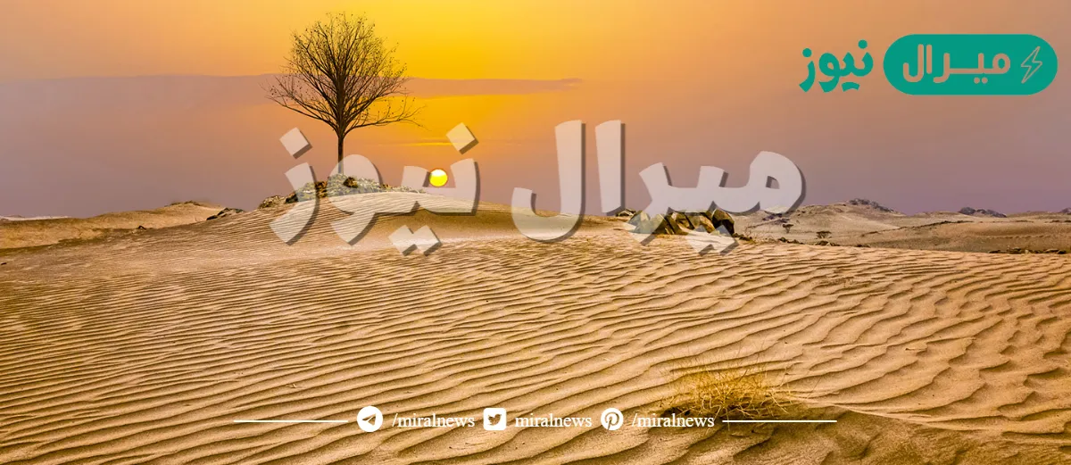 مناخ المملكة حار بصفة عامة نتيجة لوقوعه على