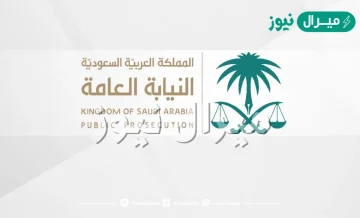 نتائج النيابة العامة ملازم تحقيق