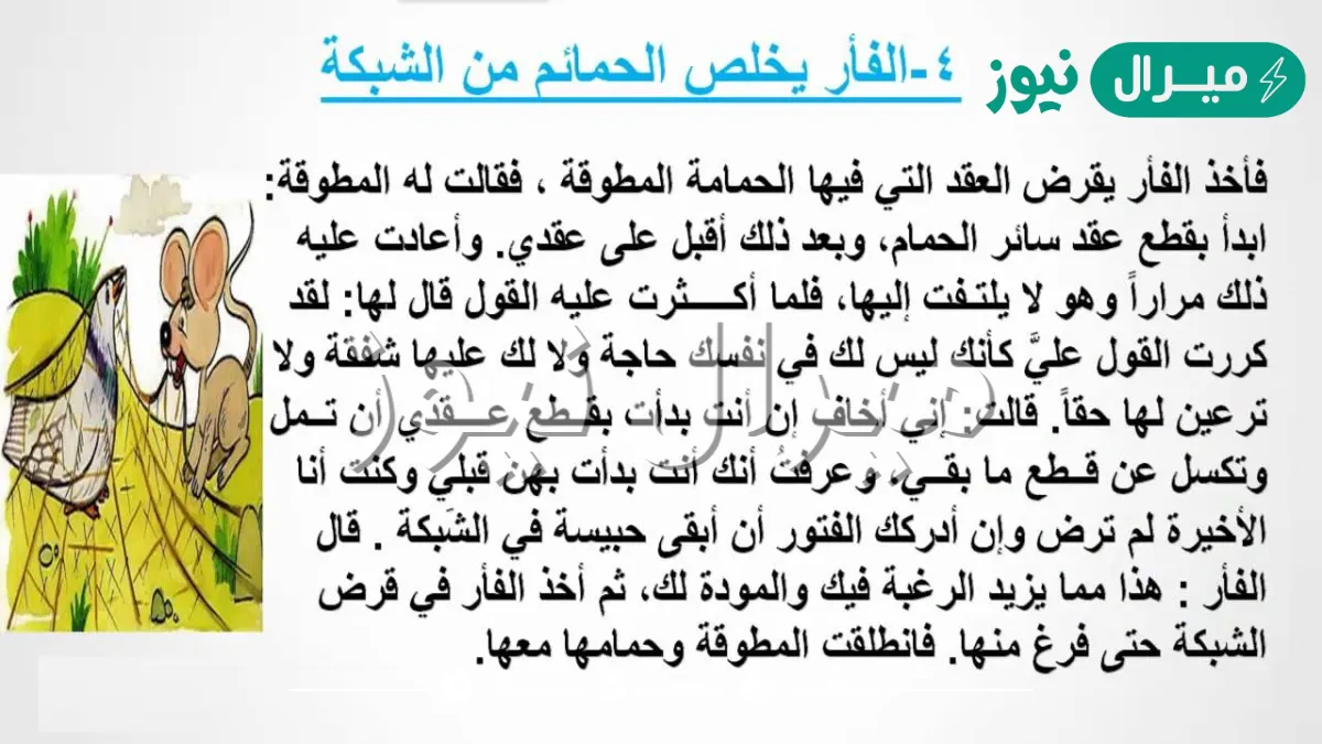 نص الاستماع الحمامة المطوقة مكتوب