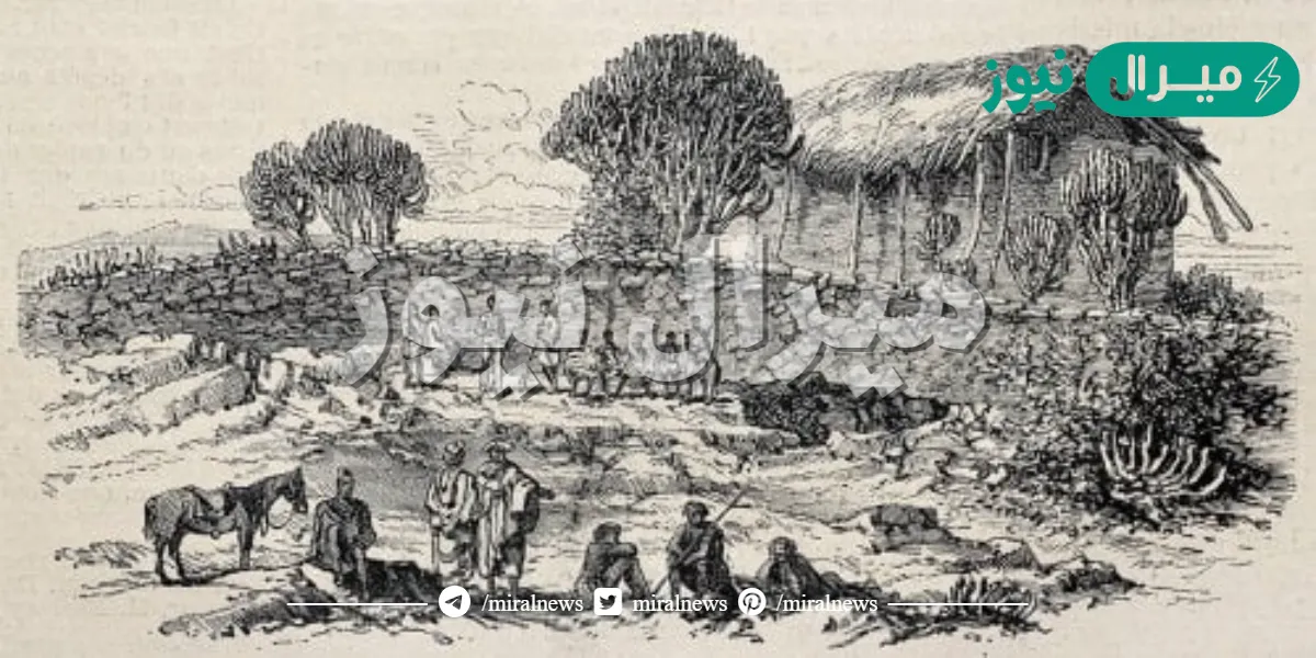 هاجر المسلمون الاوائل الى مصر