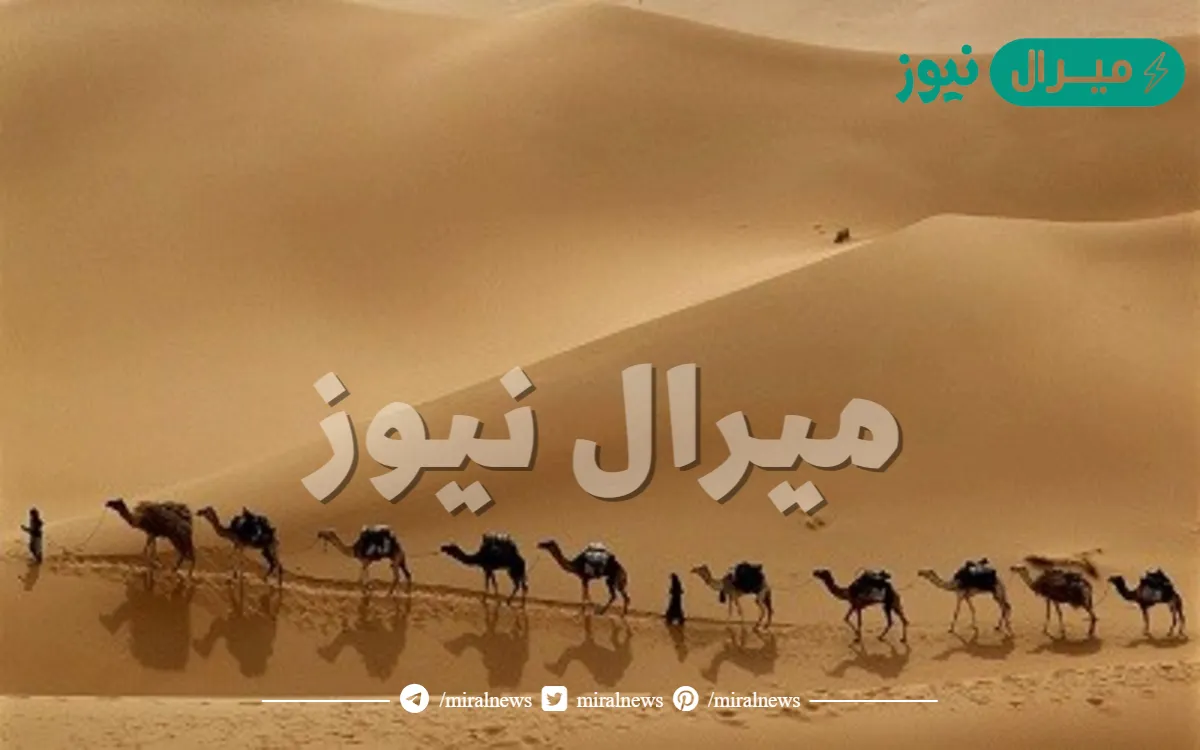 هاجر النبي صلى الله عليه وسلم إلى العراق لأن فيها ملكا لا يظلم عنده أحد